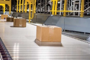 AS-35 Shoe Sorter